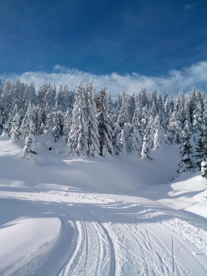 Stodola1 Harrachov